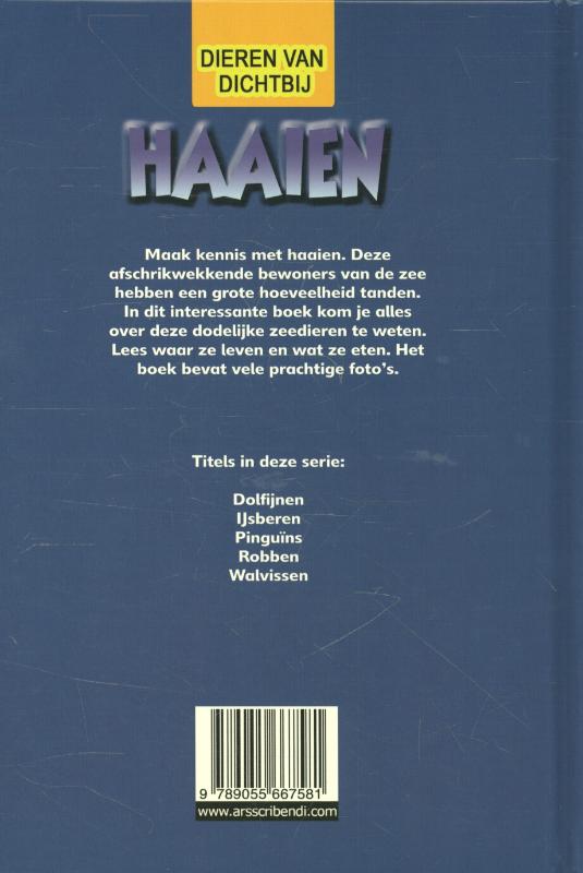 Achterkant van Haaien