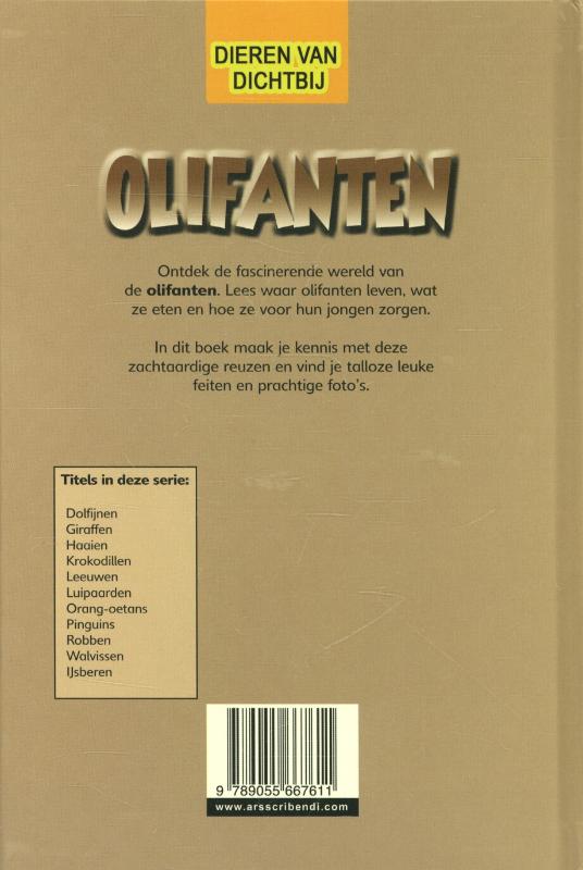 Achterkant van Olifanten