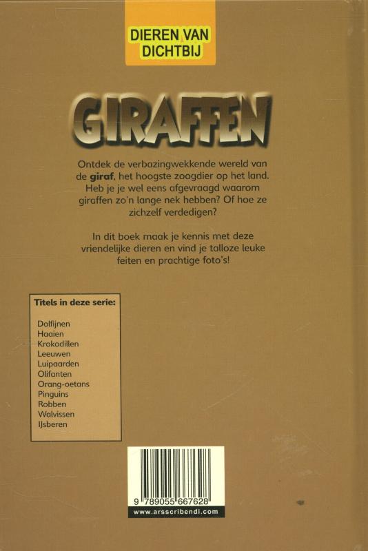 Achterkant van Giraffen