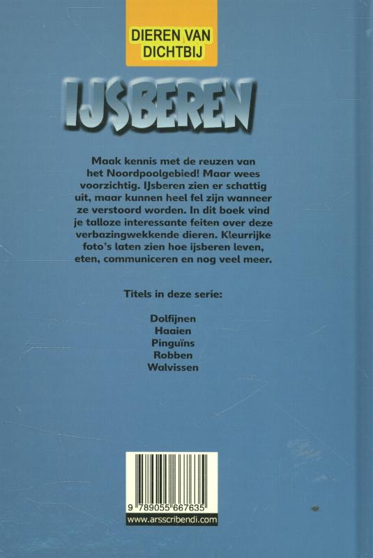 Achterkant van IJsberen