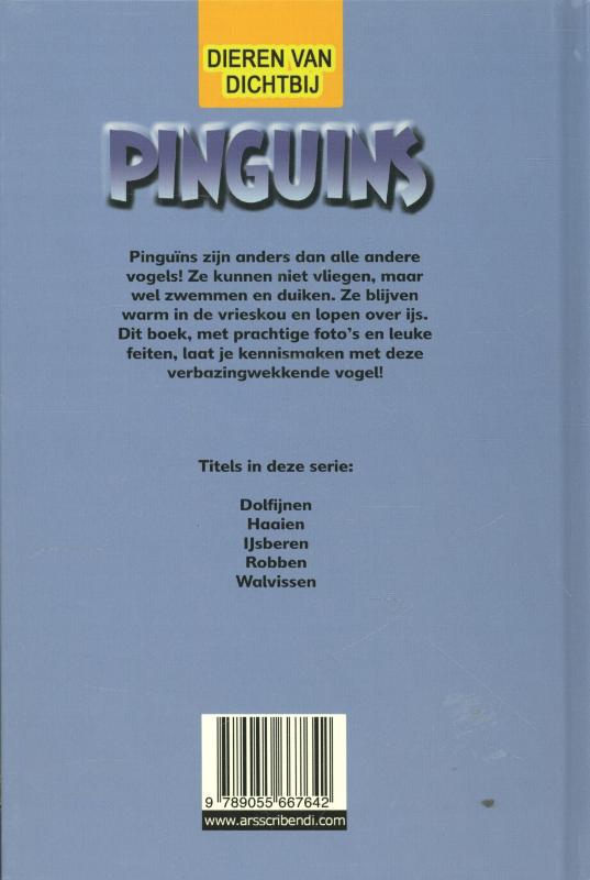 Achterkant van Pinguins