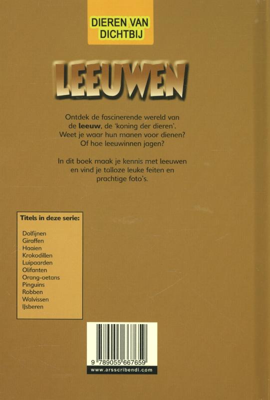 Achterkant van Leeuwen