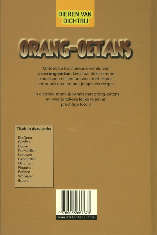 Achterkant van Orang oetans