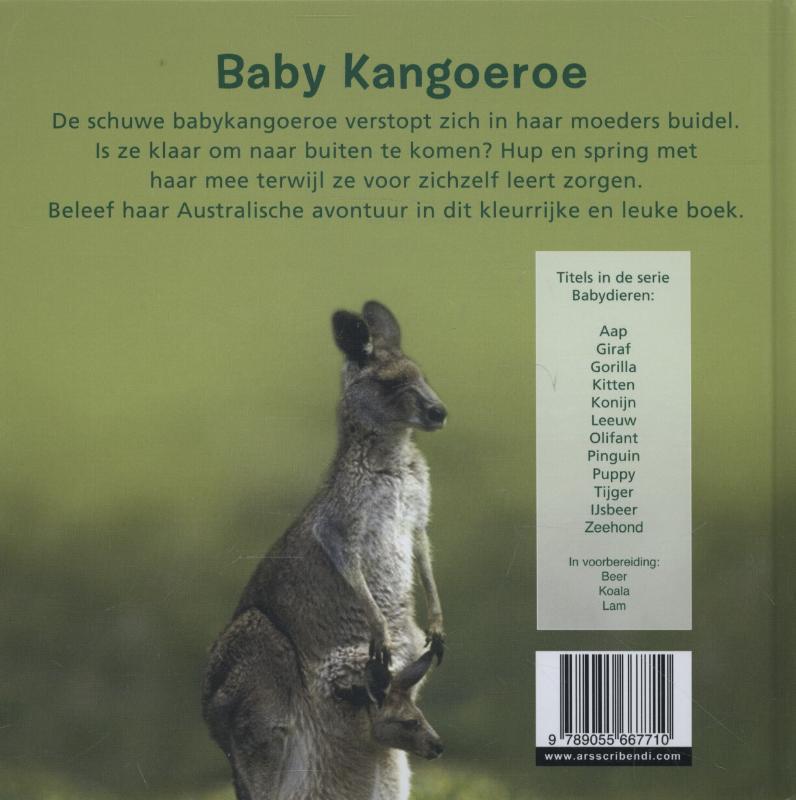 Achterkant van Kangoeroe