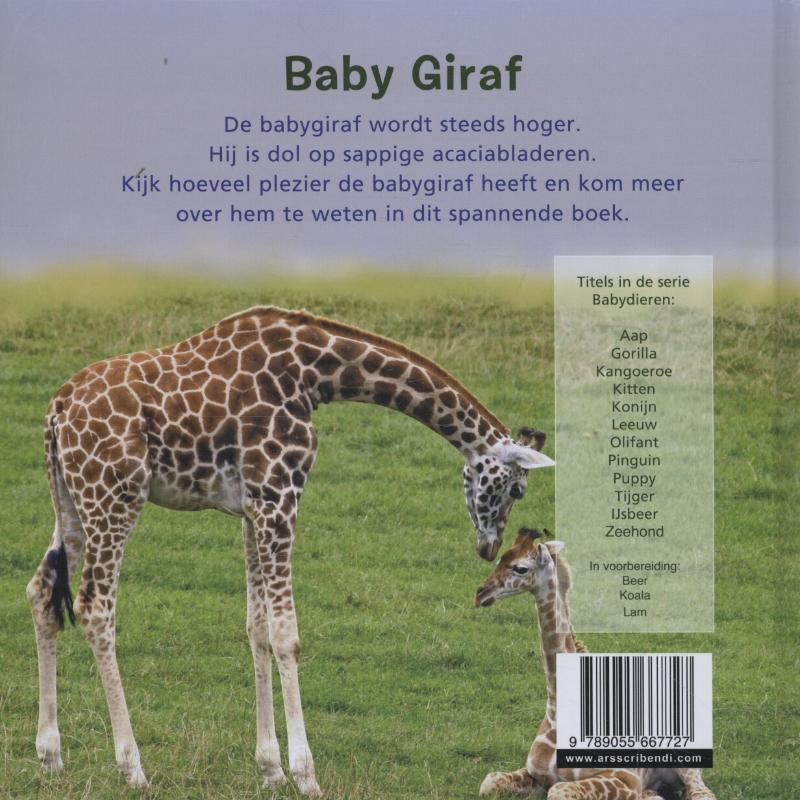 Achterkant van Giraf
