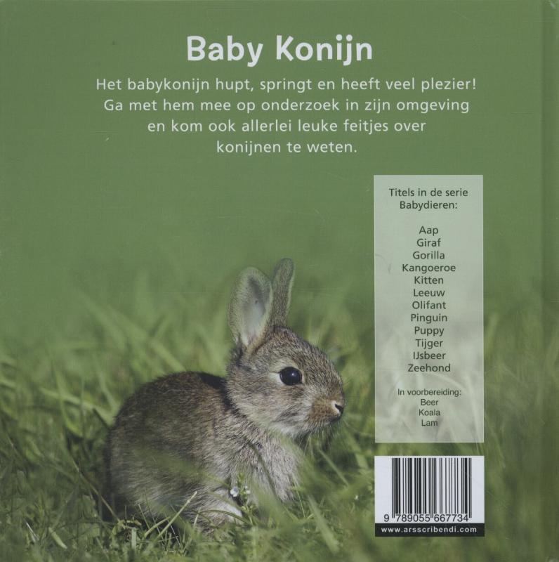 Achterkant van Konijn