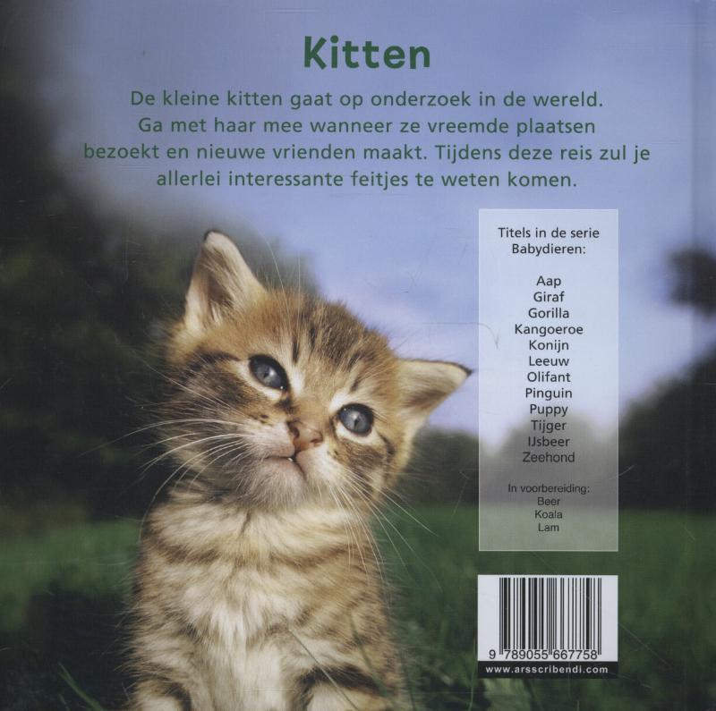 Achterkant van Kitten