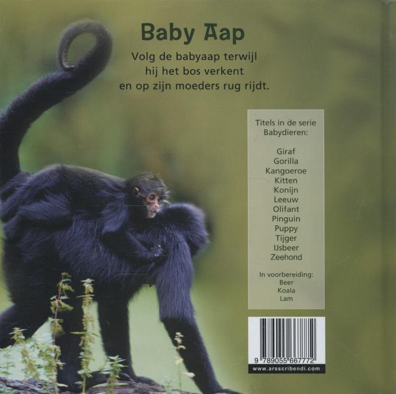 Achterkant van Aap
