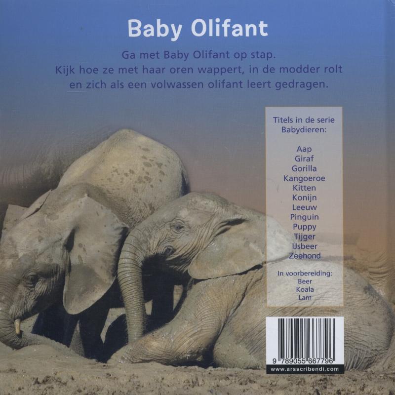 Achterkant van Olifant