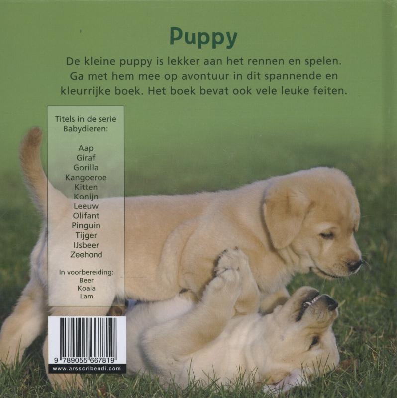 Achterkant van Puppy