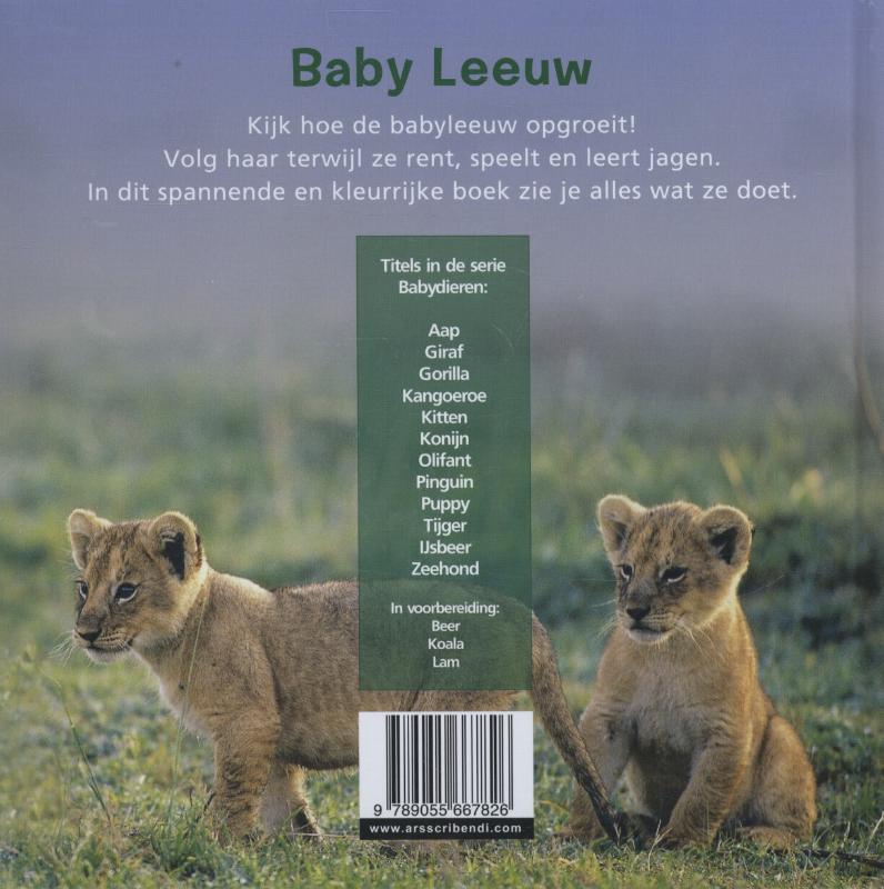 Achterkant van Leeuw