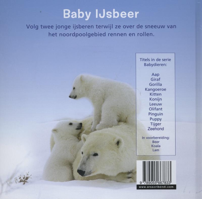 Achterkant van IJsbeer