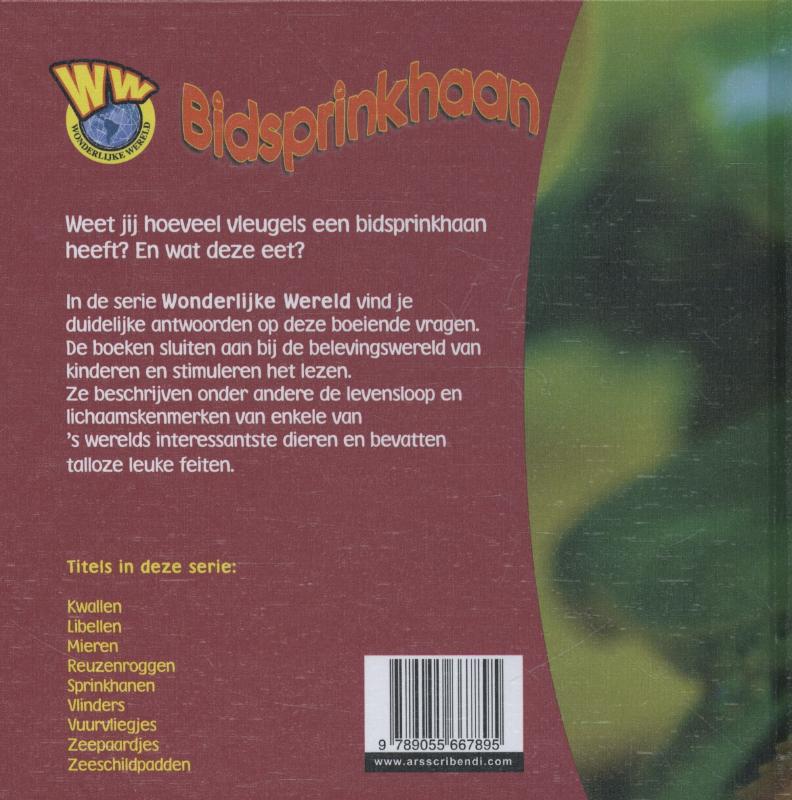 Achterkant van Bidsprinkhaan
