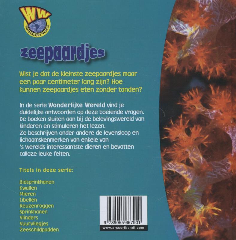Achterkant van Zeepaardjes