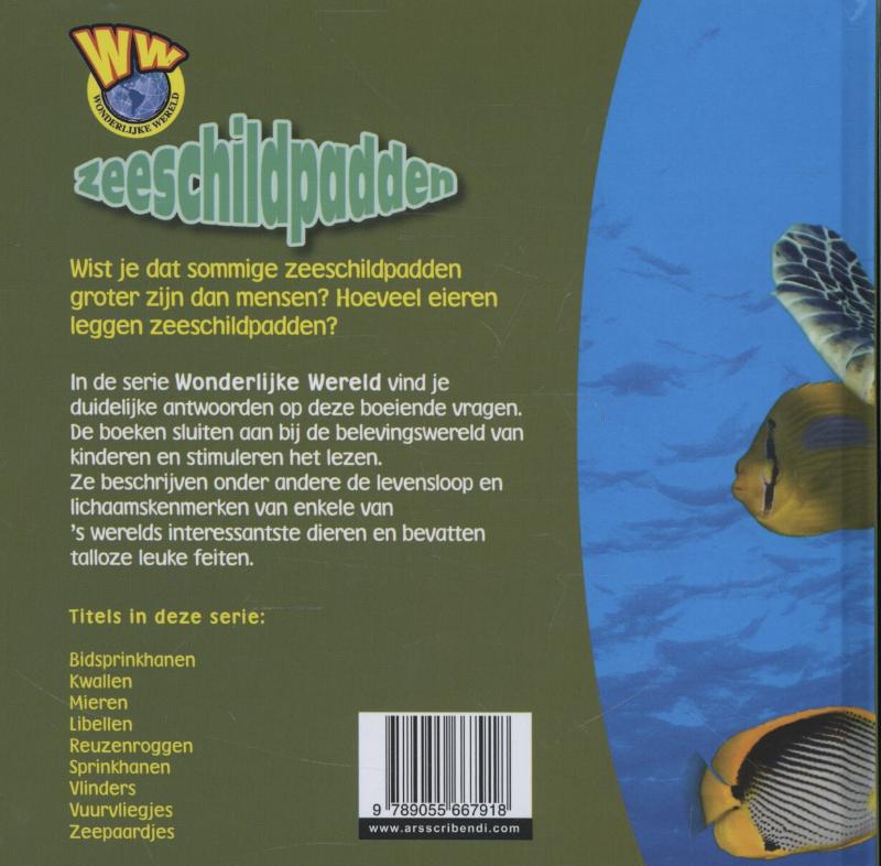 Achterkant van Zeeschildpadden