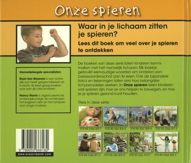 Achterkant van Onze spieren