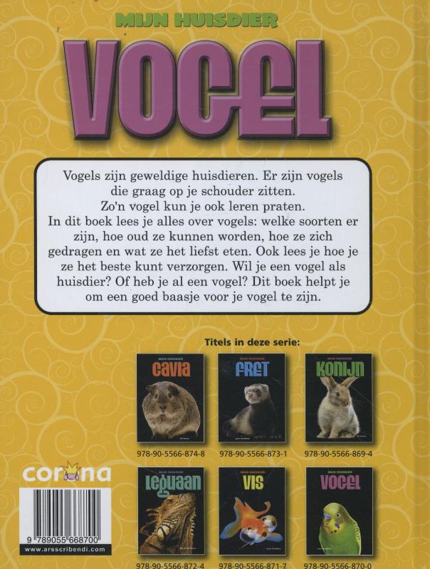 Achterkant van Vogel
