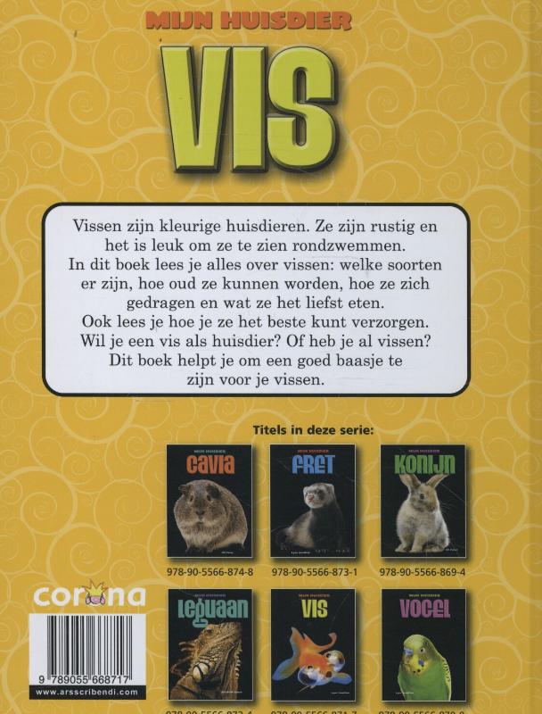Achterkant van Vis