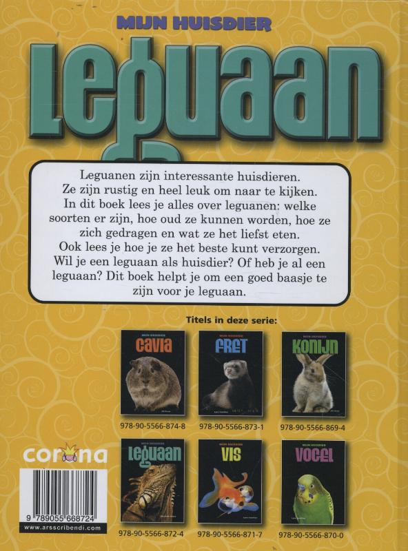 Achterkant van Leguaan