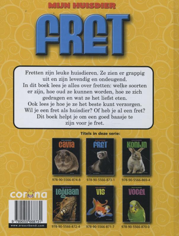 Achterkant van Fret