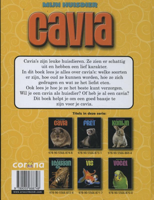 Achterkant van Cavia