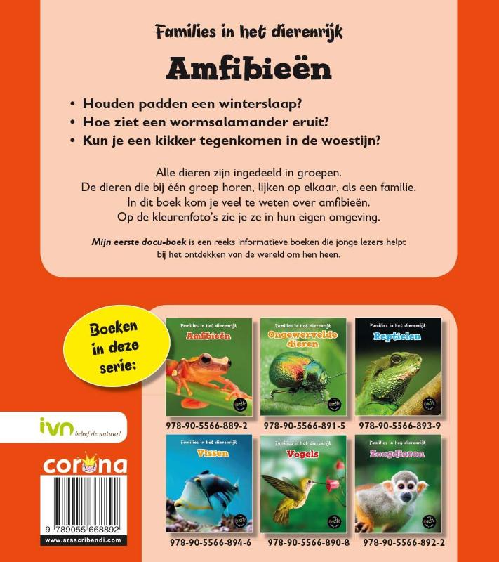 Achterkant van Amfibieën