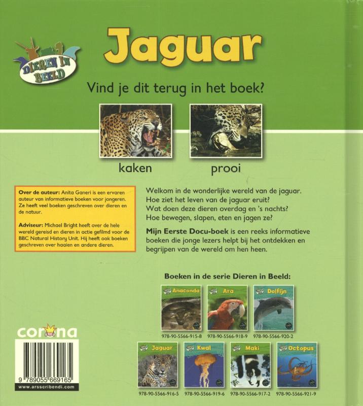 Achterkant van Jaguar