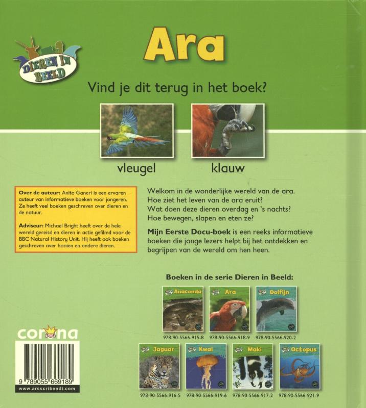 Achterkant van Ara