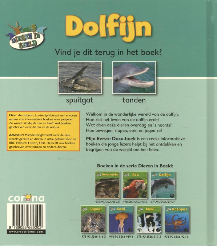 Achterkant van Dolfijn