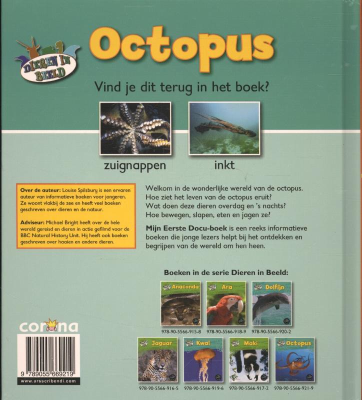Achterkant van Octopus