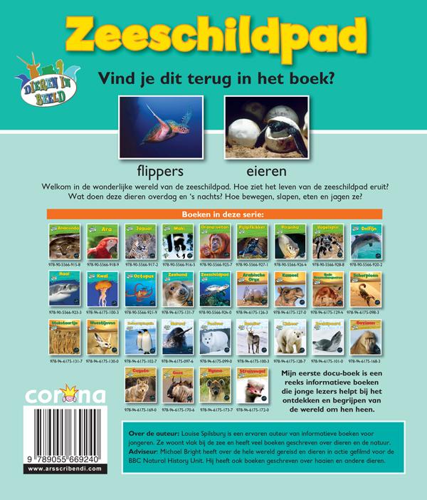 Achterkant van Zeeschildpad