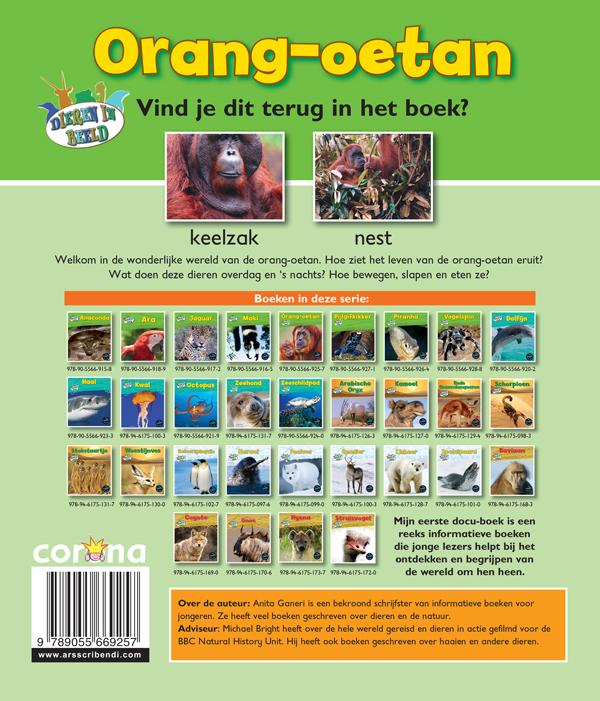 Achterkant van Orang-oetan