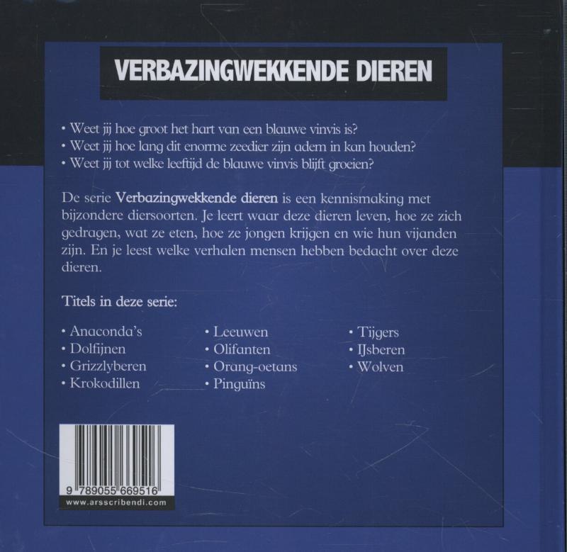 Achterkant van Blauwe vinvis