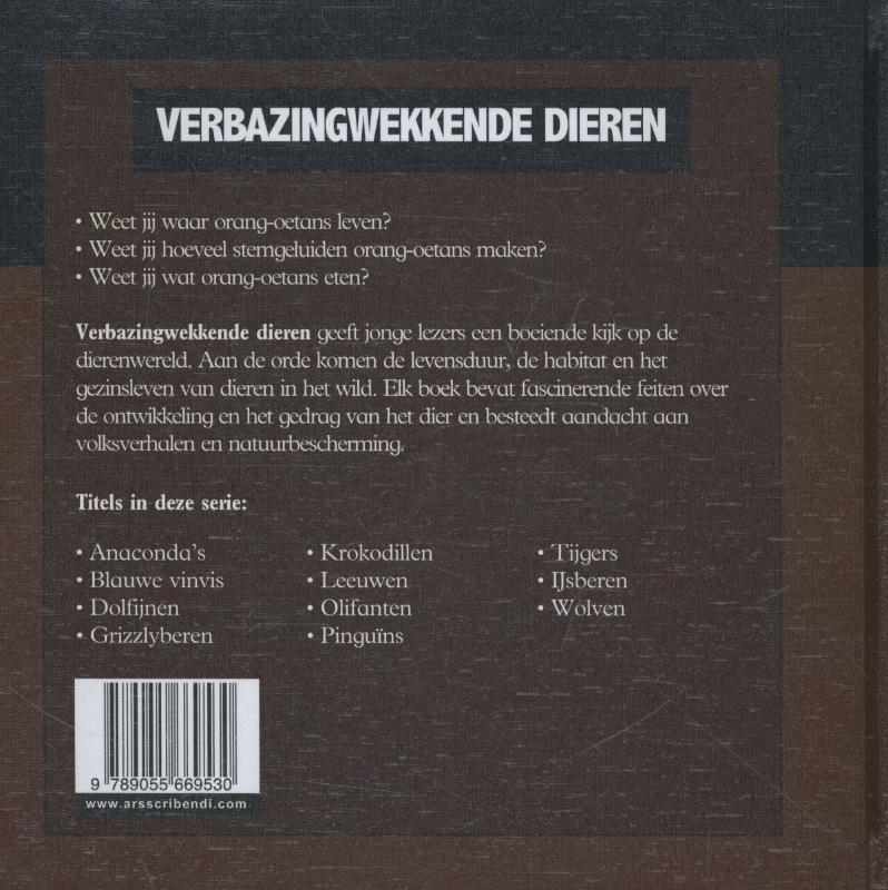 Achterkant van Orang-oetans
