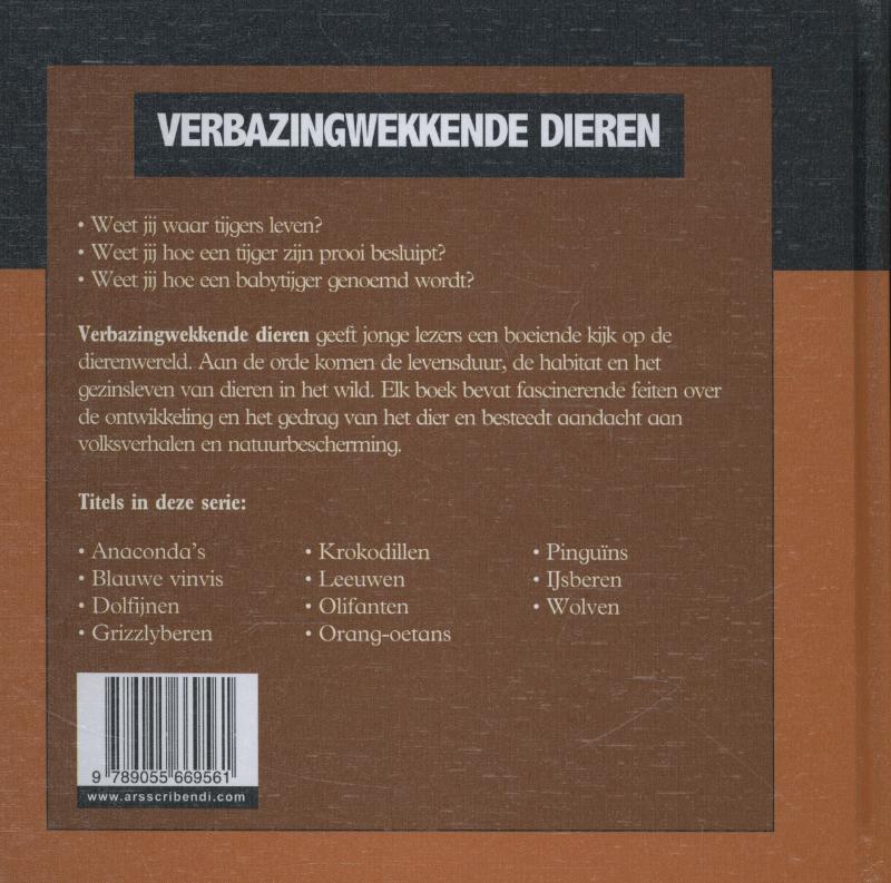 Achterkant van Tijgers