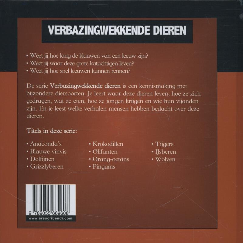 Achterkant van Leeuwen