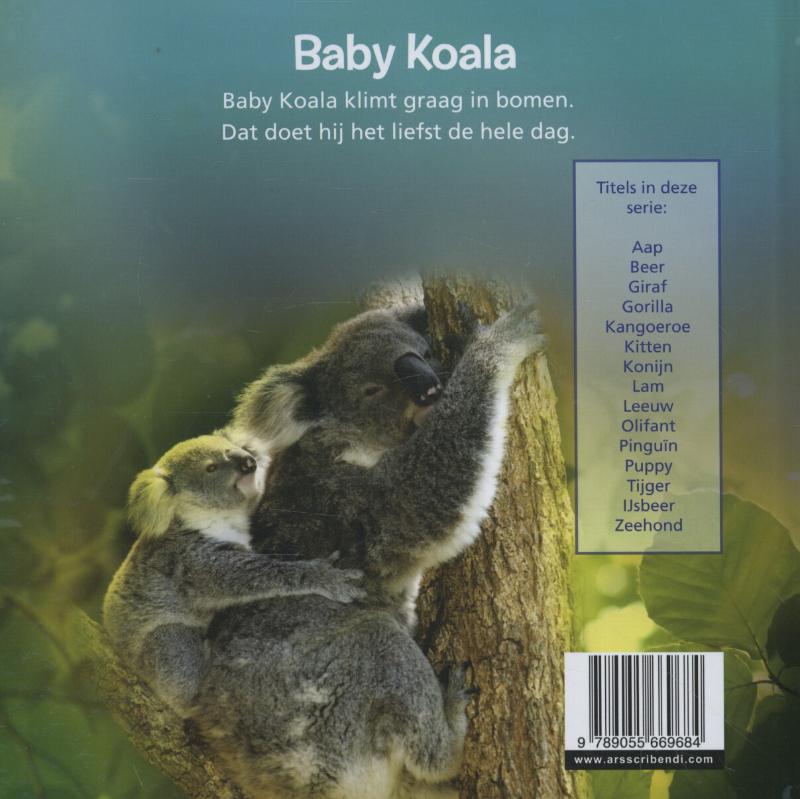 Achterkant van Koala
