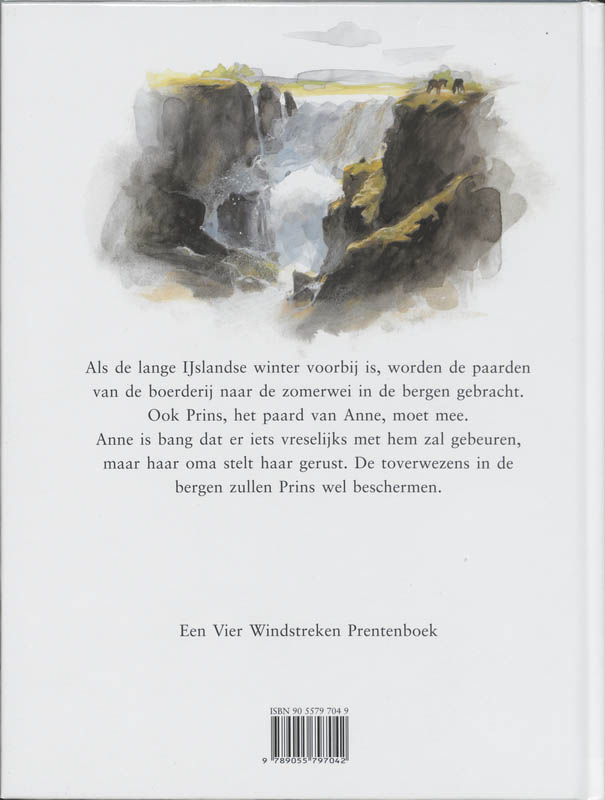 Achterkant van Prins, de IJslandse Pony