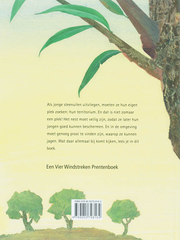 Achterkant van De jonge steenuil