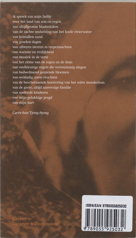 Achterkant van De wasvrouw