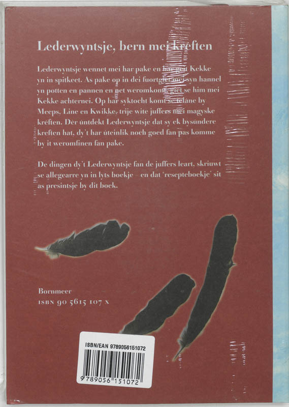 Achterkant van Lederwyntsje