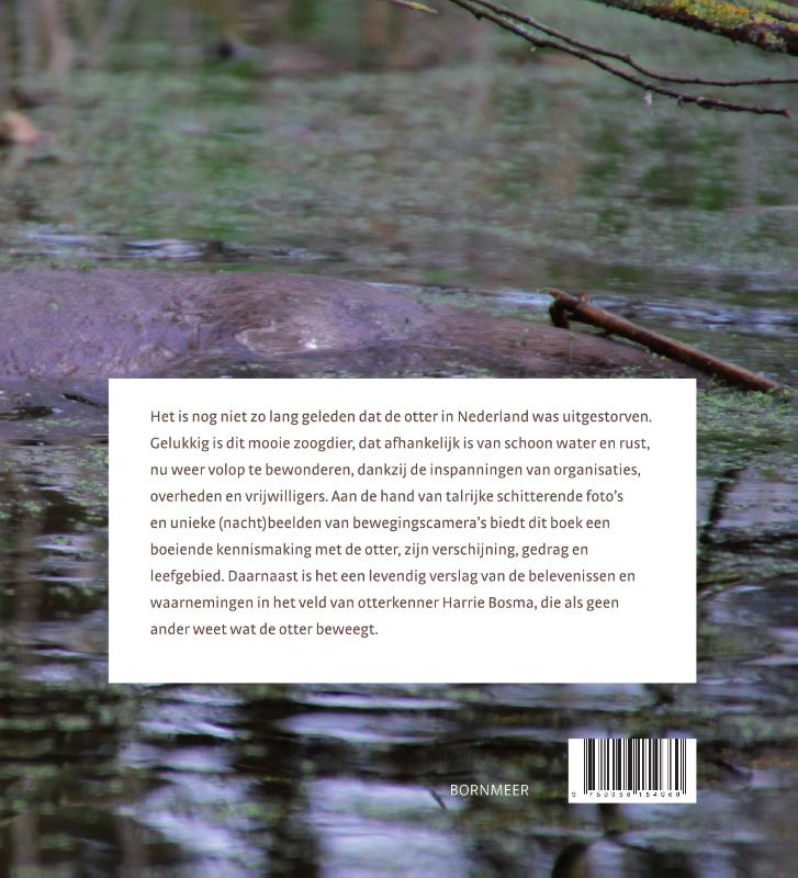 Achterkant van De otter