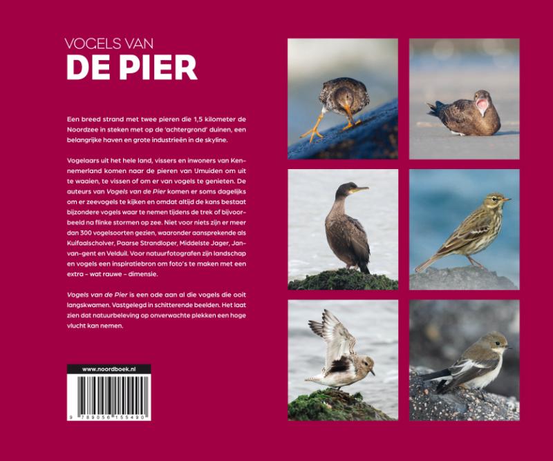 Achterkant van Vogels van de Pier