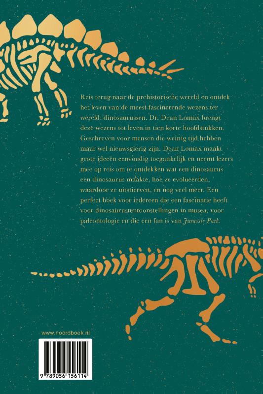 Achterkant van Dinosaurussen