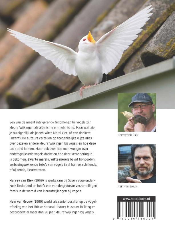 Achterkant van Zwarte merels, witte merels