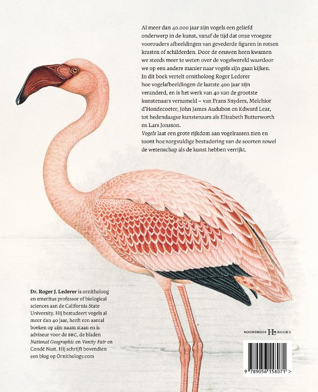 Achterkant van Vogels
