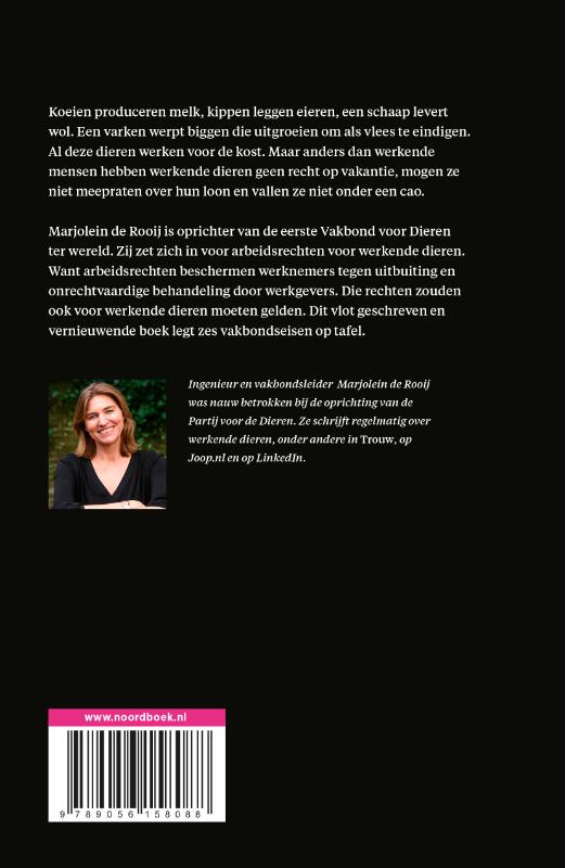 Achterkant van Hoeveel vakantiedagen heeft een varken?