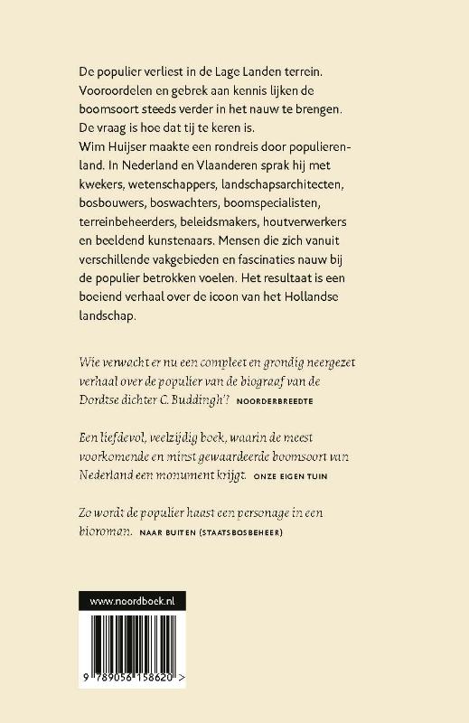 Achterkant van IJle populieren