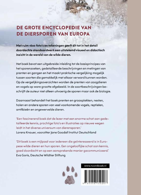 Achterkant van Diersporen van Europa