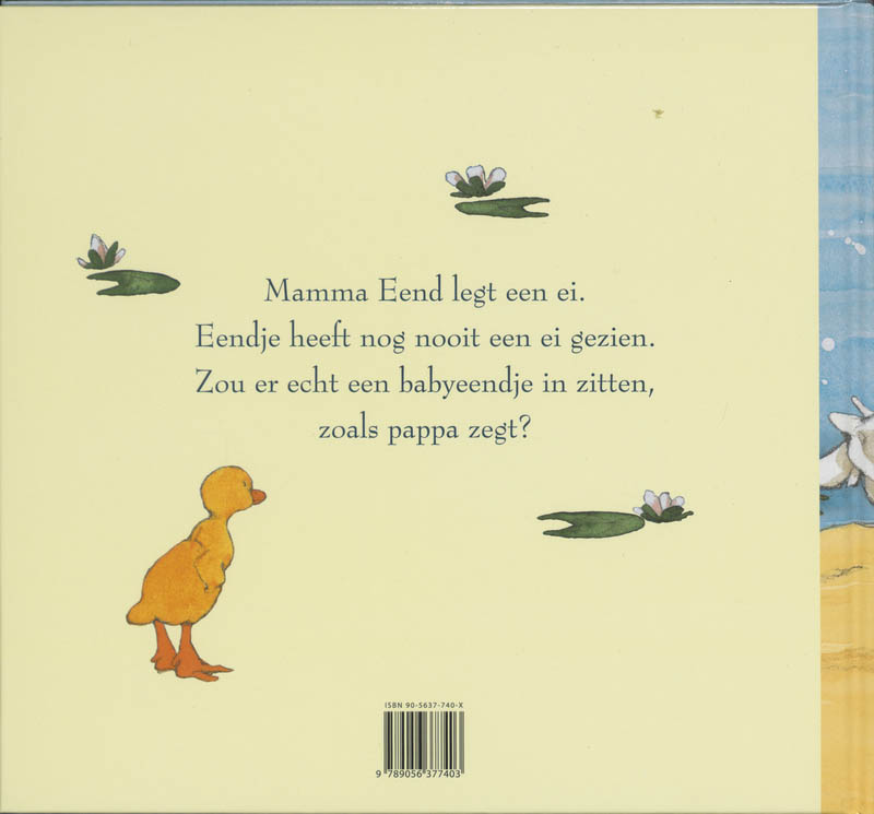 Achterkant van Het Ei